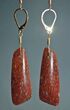 Pink Agatized Dinosaur Bone Earrings #5251-2